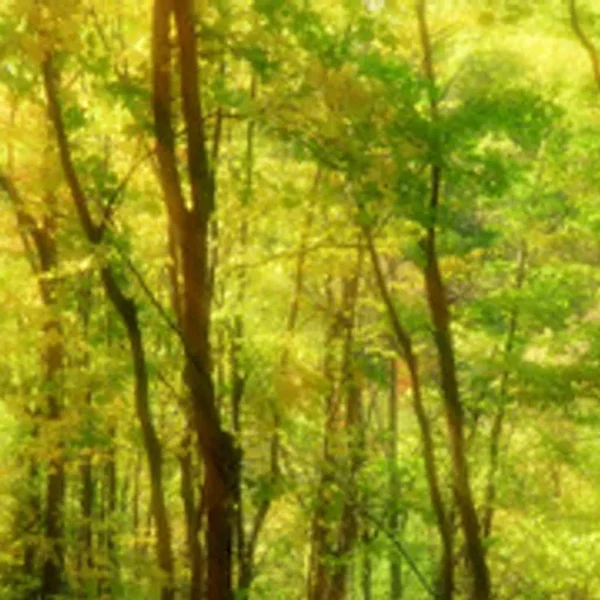 Discover format artwork